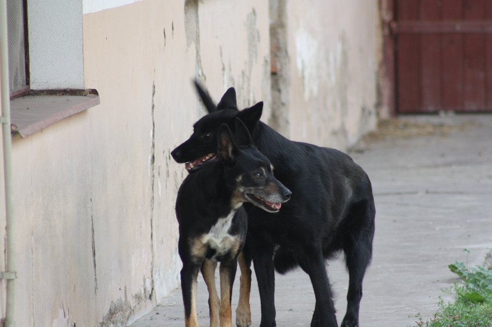 Cynthie Xapatán 017.jpg